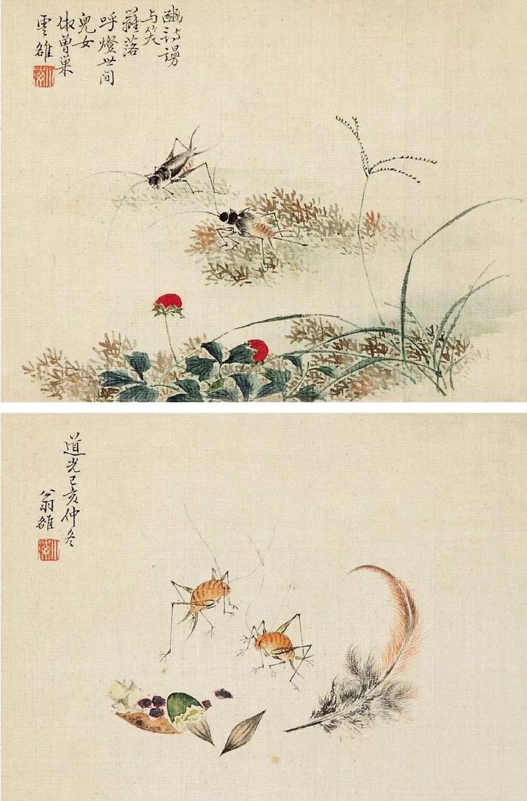 清代花鸟鱼虫画,清代国画名家花鸟鱼虫