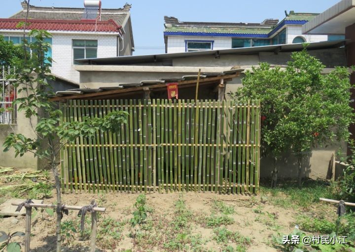 形容家乡的生态环境的优美语句,谈谈家乡生态环境