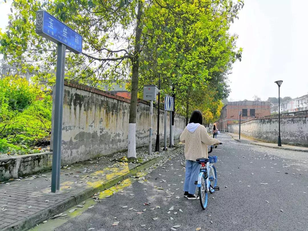 都江堰天府绿道骑行路线图,都江堰周边最美骑行路线