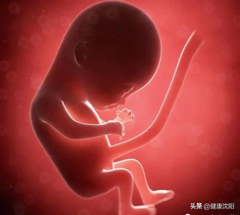 脐带扭转科普视频,健康科普结束语