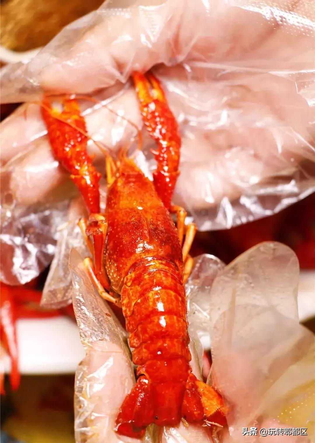 坐标蜀都万达！一口秒穿金庸世界的江湖菜！泼辣到肾上腺素狂飙