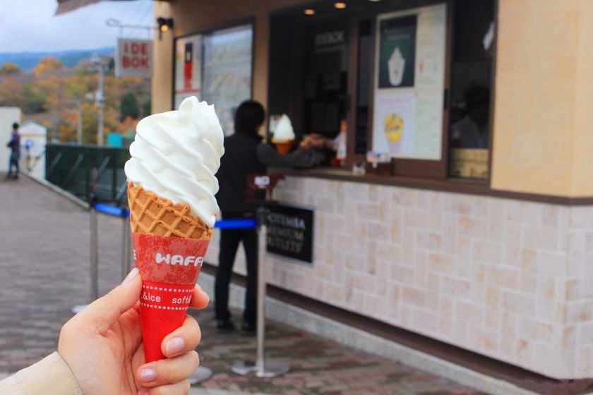 去富士山看樱花,日本富士山浪漫