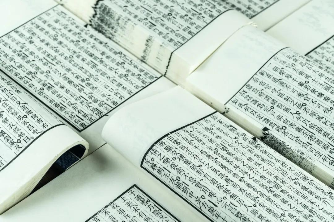 芝味本草全集,芝味本草第23期