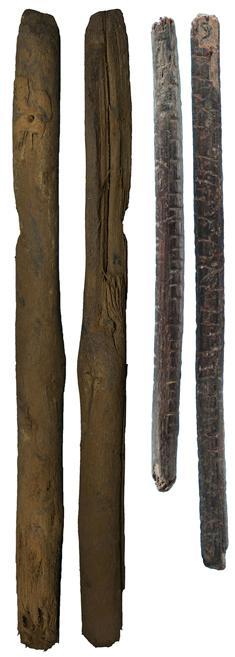 100%天然河豚毒箭？给*物文**里的中国史来点批判性思考