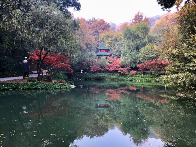 长沙去张家界三日游报价,长沙到乌镇三日自由行攻略