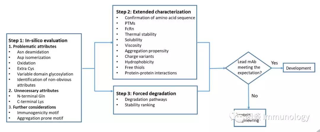 治疗性抗体系列,治疗性抗体原理