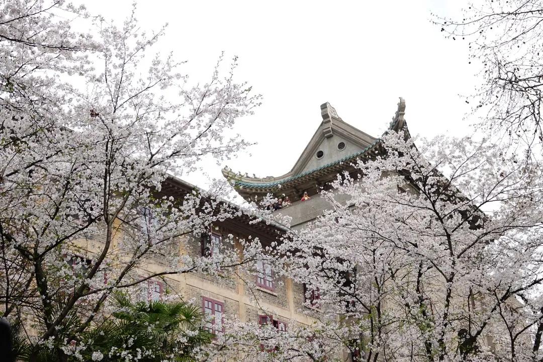 小镇做题家真的有出路吗,小镇做题家到底是什么