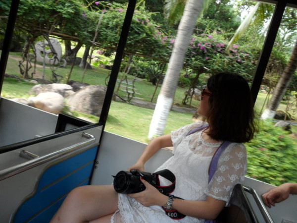 冬季三亚旅游攻略 (七月份去三亚旅行攻略路线推荐)