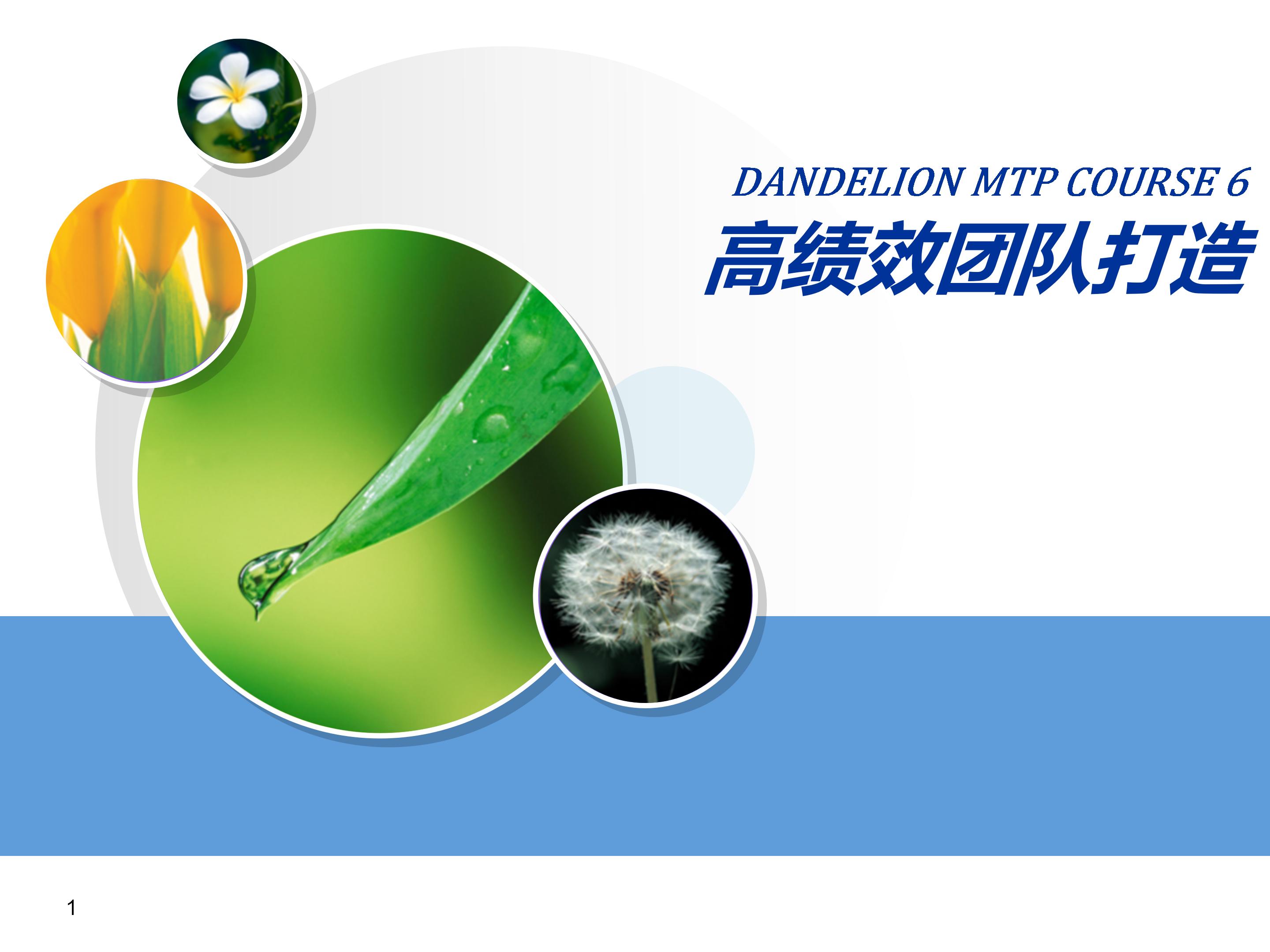 个人与团队管理打造高绩效团队,团队建设建议及个人成长