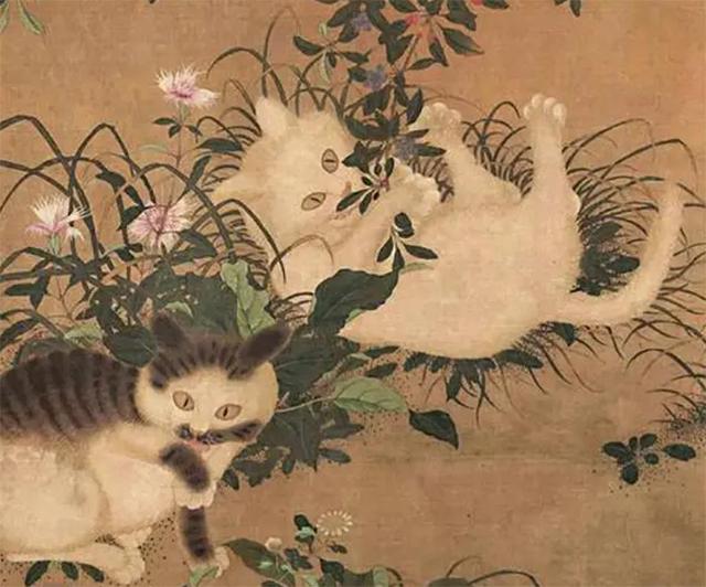 中国人为啥不吃猫原来原因在这里,中国人为什么不吃掉猫