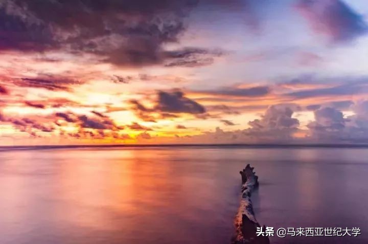 风下之乡海鲜,风下之乡