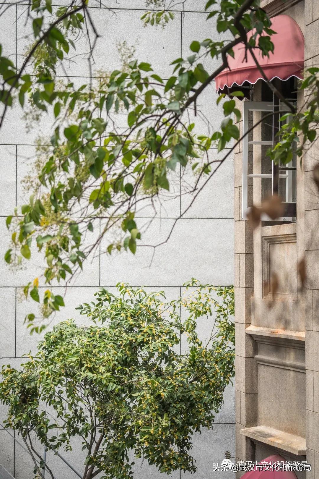 南京西路顶级老洋房,上海南京路独栋老洋房出售