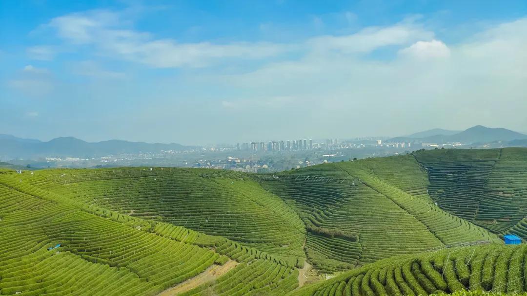 杭州西湖人少景美的地方,杭州人少景美免费景点