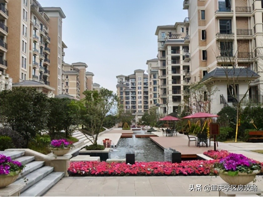 照母山的重点中学,照母山优质学区