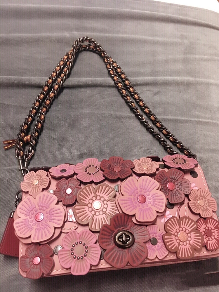 大家会买蔻驰几年前的包吗,几百块钱能买到蔻驰真包吗