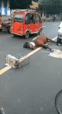 把中间的门店租下来取什么名字好,租下门面不知道取什么名字