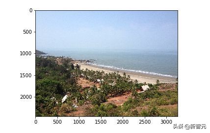 bp神经网络简单实现,如何搭建一个自己的视觉神经网络