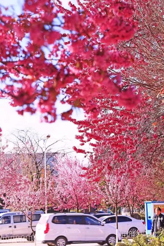 云南十大公路自驾游,云南自驾5条最佳线路图