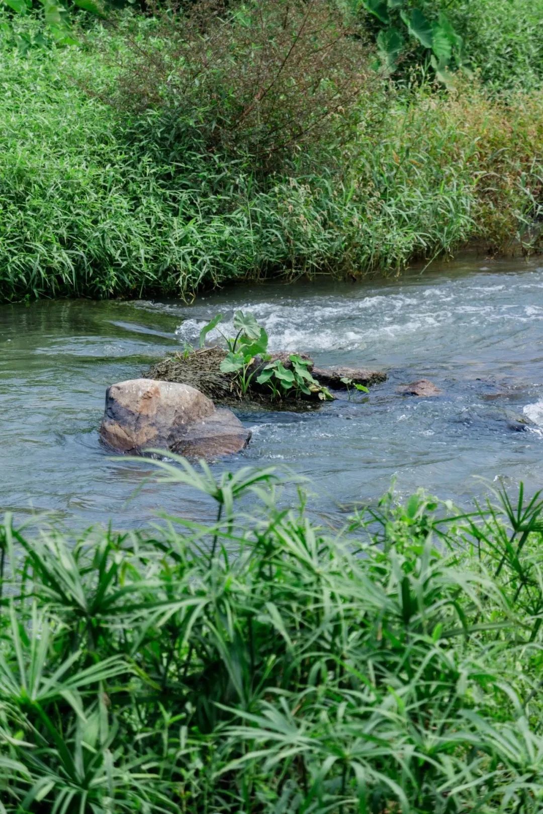 深圳1号线晚上好去处,地铁深圳一号线哪里好玩