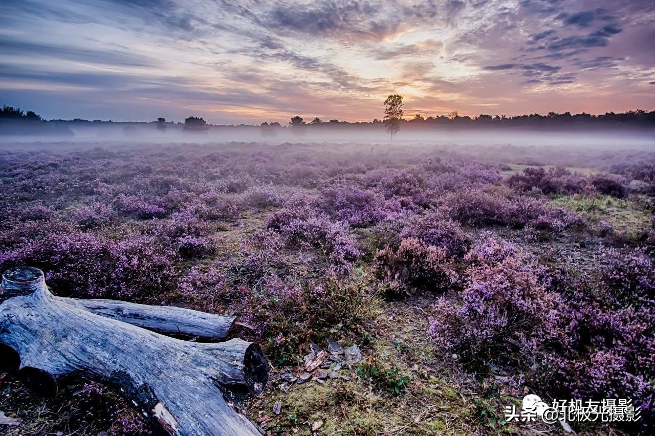 相机里还有什么功能,相机这五个很实用的功能