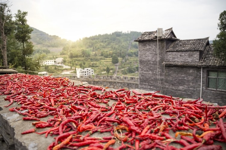 被辣“毁掉”了的中国胃