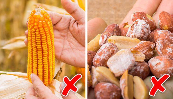 误食霉菌会发烧吗,误食了有霉菌的食物会怎么样