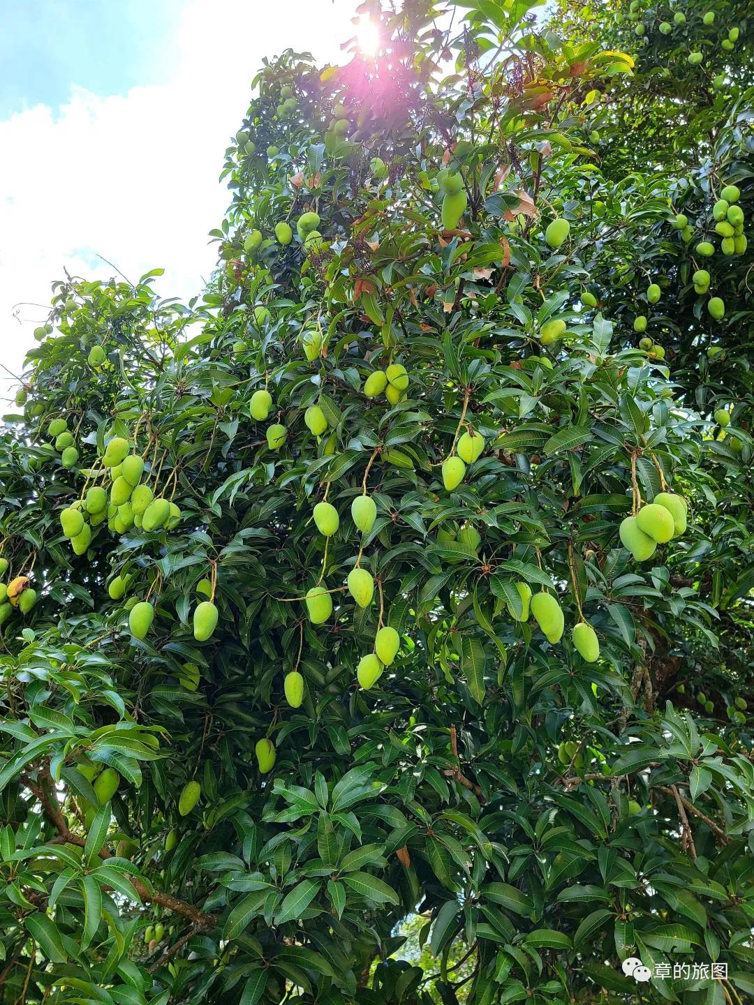 安溪野狼谷风景区,安溪野狼谷徒步