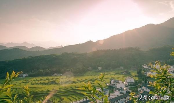 西安汉阴油菜花旅游攻略,安康看油菜花的最佳季节