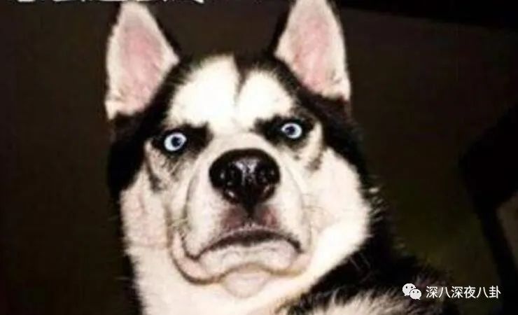 看了买家秀后，感觉被骗了