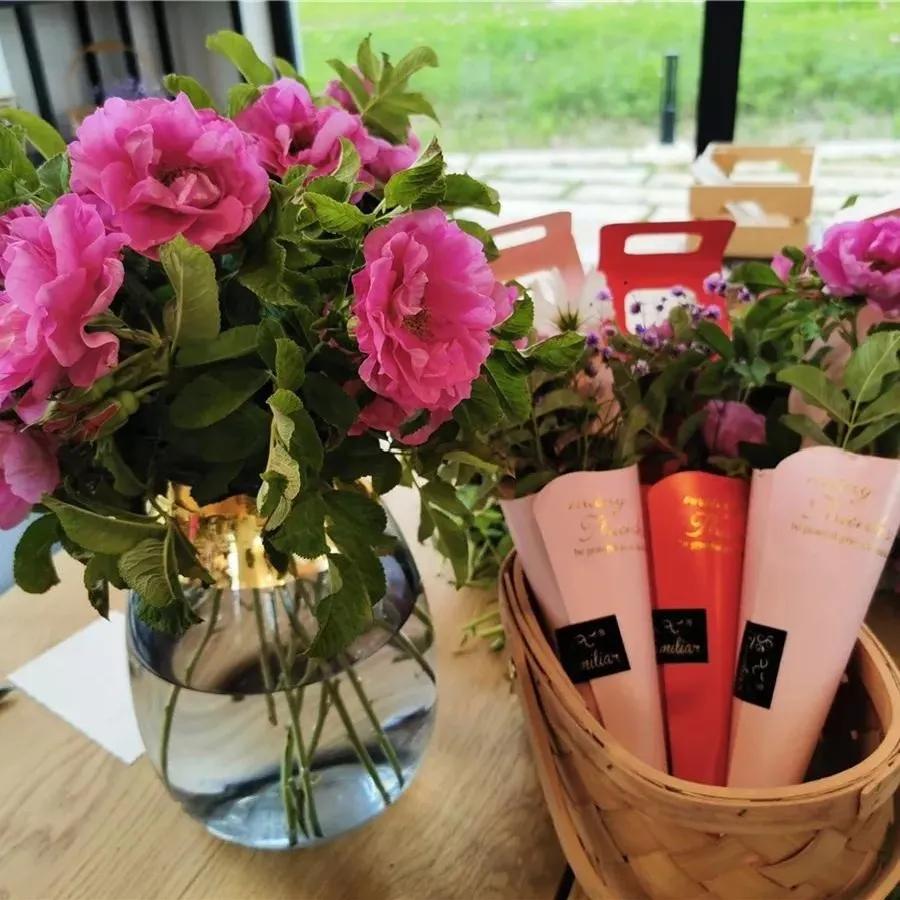 上海浦东新区川沙镇镇长,上海浦东新区川沙新镇党委书记