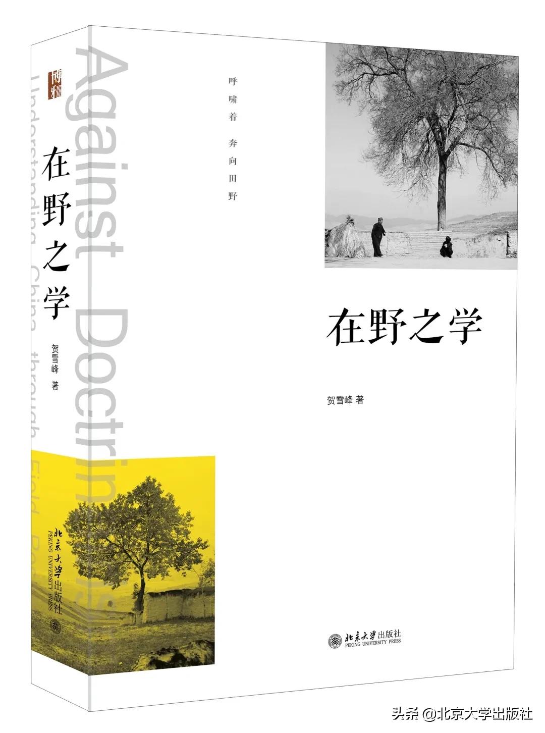 快手背后的农村残酷物语？这些才是农村的真相