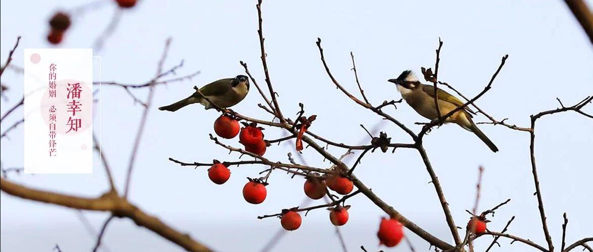 我34岁，被出轨后人生开挂，给你透露3个离婚陷阱