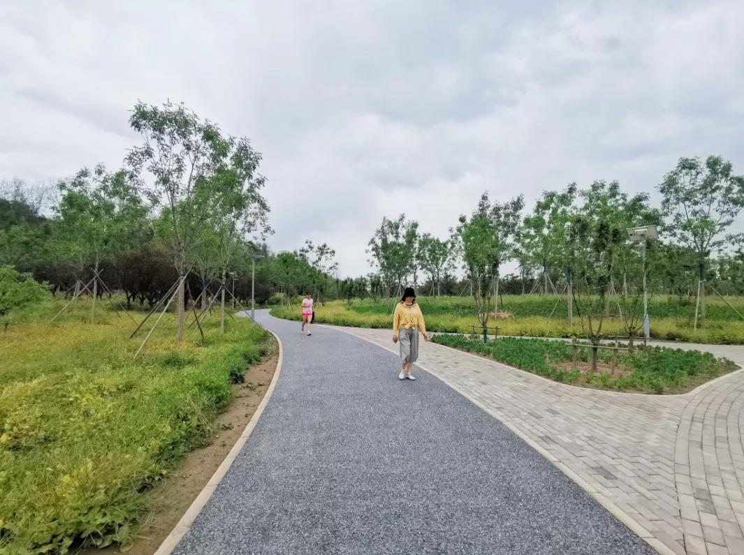 北京东小口城市休闲公园,北京四季公园美景