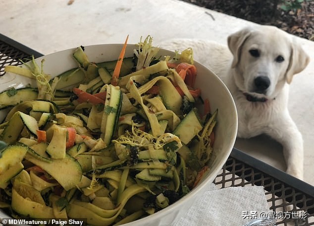 被施了魔法之后,被施了魔法