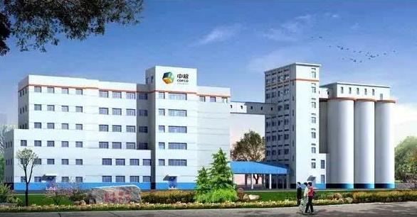 中国十大油企排行榜,中国十大食用油厂家