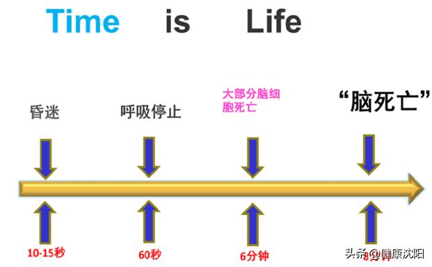 基本公共卫生与健康科普知识,宣传卫生健康知识事件