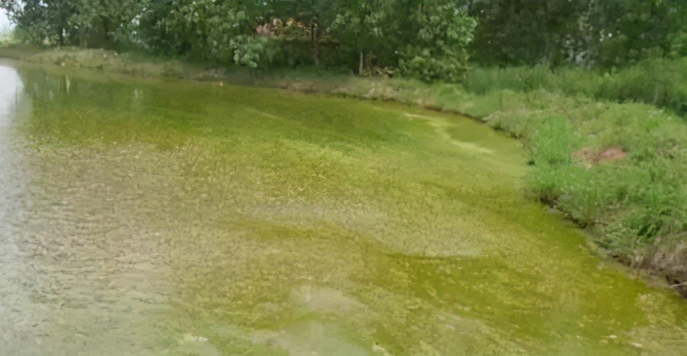 水源水质管理怎么做,城市供水水质管理规定