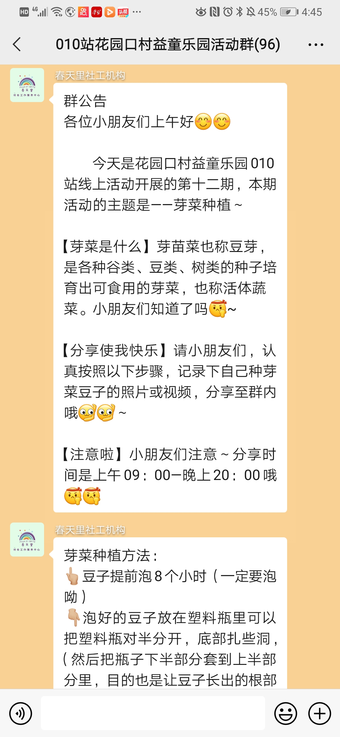 一米长水培豌豆苗,鲜活豌豆苗水培