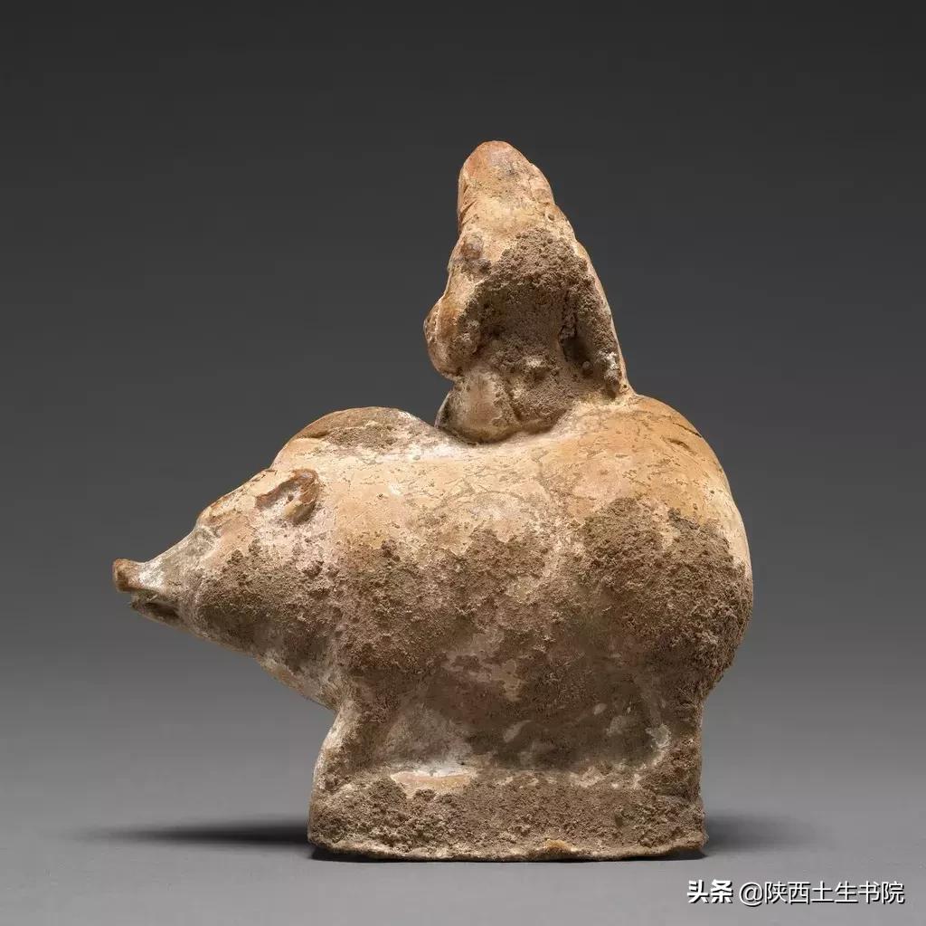 猪，在古希腊是幼儿的守护神