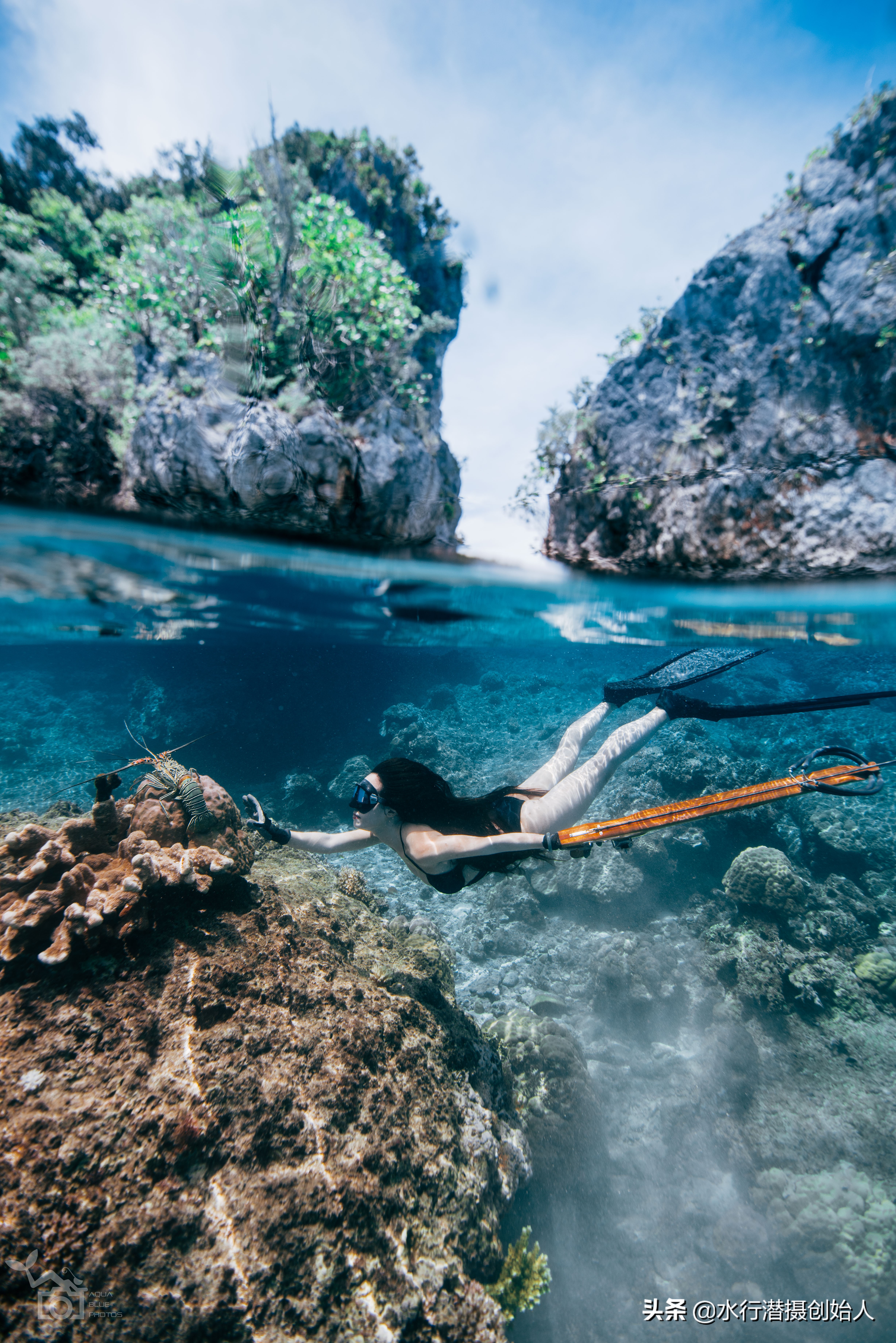 帕劳岛自由行潜水,帕劳水母湖自由潜视频