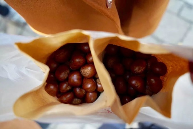 鍗椾含閲戦櫟鏂版潙缇庨,鍗椾含閲戦櫟缇庨