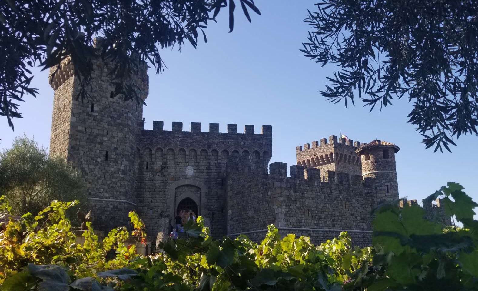 红酒的七大骗局是哪些呢,你被红酒忽悠过吗