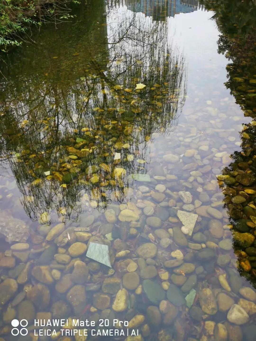 春桃电影1988完整版,春桃含苞