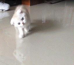 小孩落枕脖子疼几天能好,落枕脖子一直不好怎么办