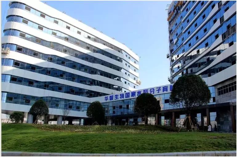 瞪羚企业总数,瞪羚企业数量排行城市