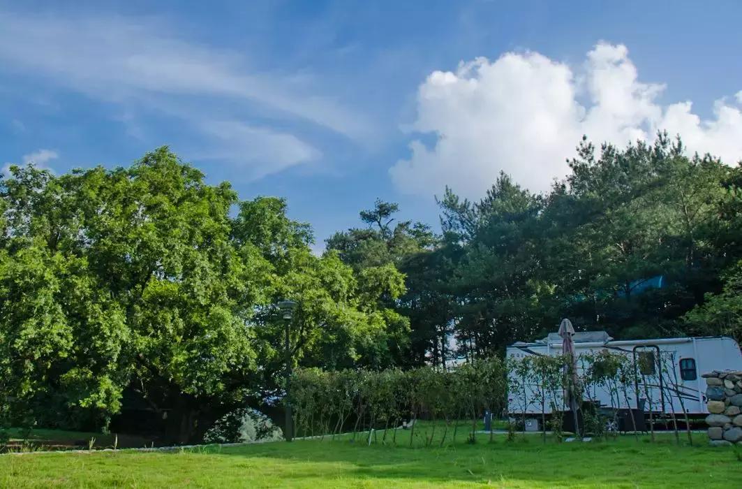宁波露营基地过夜看日出,宁波晴江岸露营地