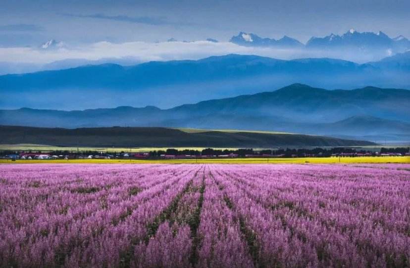 伊犁哈萨克自治州地图,伊犁哈萨克自治州