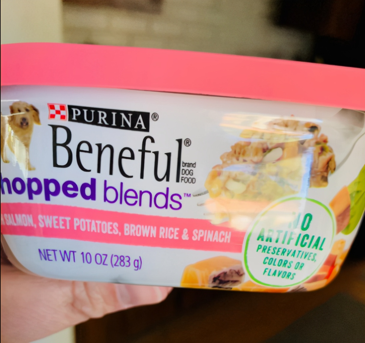 炎症的狗狗吃什么狗粮,狗狗吃什么狗粮可以开胃