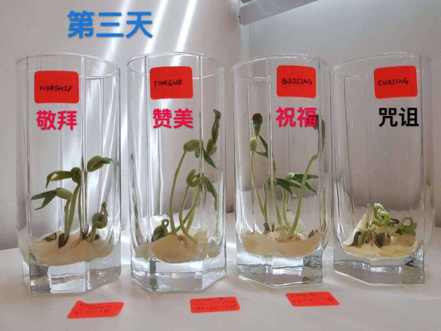 零极限四句话背后原理,零极限4句话