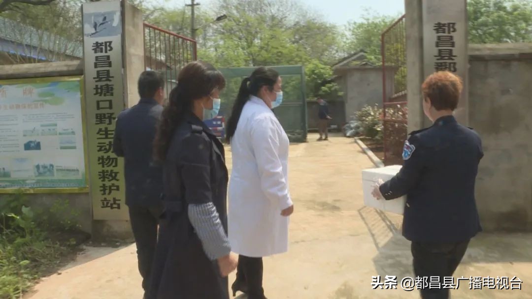 都昌县西源乡村民主动救护一只受惊的刺猬